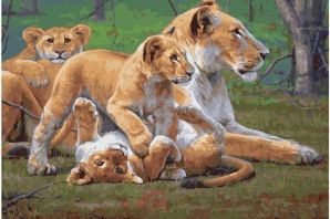 Львица с тремя львятами картинки красивые