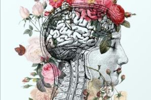 Мозг красивая картинка
