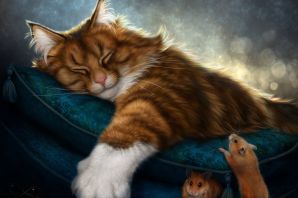 Картинки спящие котики смешные