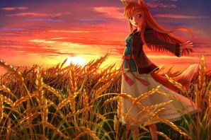 Красивые картинки поле пшеницы