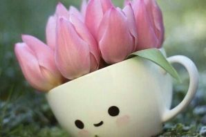 Доброе утро картинки с тюльпанами красивые