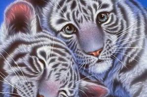 Тигрята картинки красивые двигающиеся