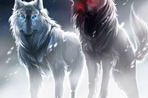 Волк и волчица картинки