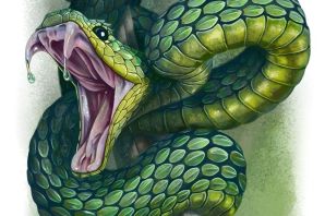 Змея картинки красивые нарисованные
