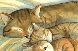 Картинки спящая кошка
