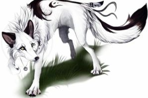 Белый волк картинки