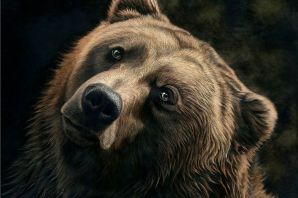 Морда медведя картинка