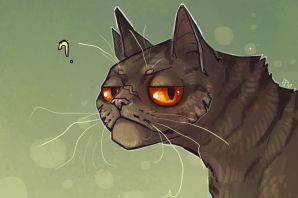 Картинки мудрый кот