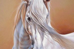 Картинки кони лошади