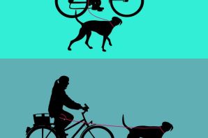 Картинки собака на велосипеде