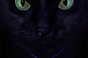 Картинка черная кошка с зелеными глазами