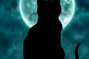 Кошка и луна картинки