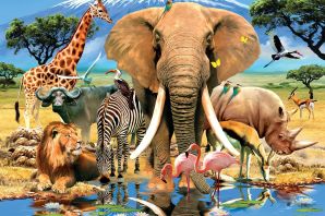 Животные африки на одной картинке