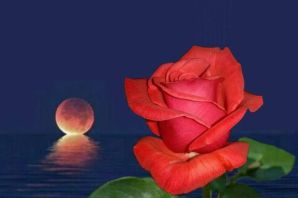 Доброй ночи картинки красивые розы