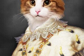 Кот в короне картинки