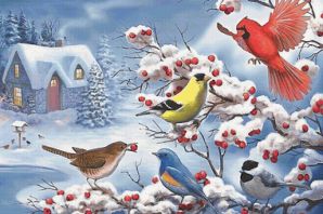 Птицы зимующие в беларуси картинках