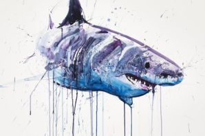 Рыбка акула картинка
