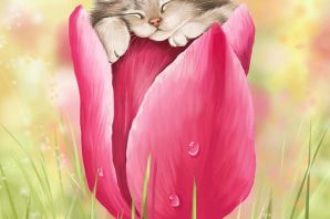 Кошка с цветами картинки
