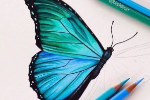 Бабочки картинки рисунки карандашом