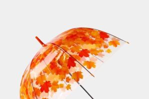 Картинки осень зонтик листья