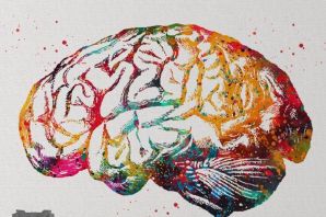 Картинки для презентации головной мозг
