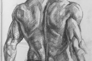 Картинки мышцы спины