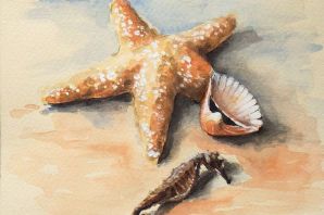 Картинка морская звезда