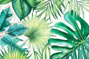 Картинки тропические листья