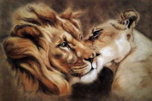 Львица и лев красивые картинки
