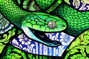 Красивые картинки змей на заставку