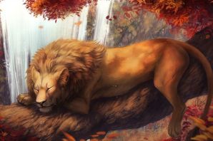 Картинки львов красивые