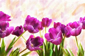 Нарисованные тюльпаны картинки