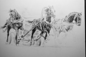 Тройка лошадей картинки