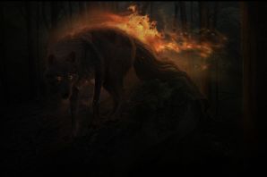 Картинка собака в огне
