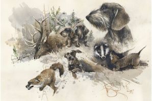 Картинки охотничьих собак
