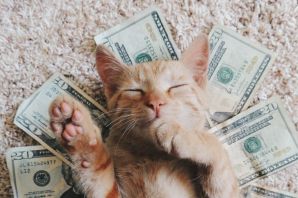 Кот с деньгами картинки