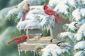 Картинки звери и птицы зимой