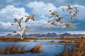 Картинка перелетные птицы осенью