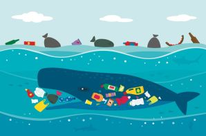 Картинки загрязненного океана