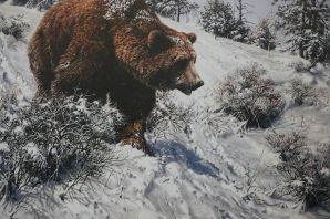 Картинки зимующих диких животных