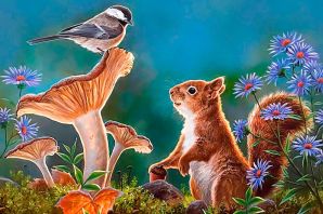 Картинки птицы в природе