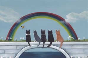 Картинки кошка на радуге