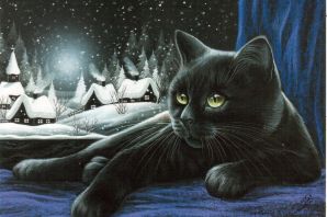Коты ночью картинки