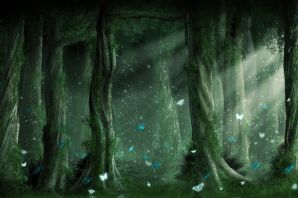 Картинка сказочный лес для презентации