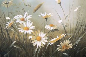 Картинки полевые цветы