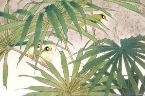 Картинки птицы джунглей