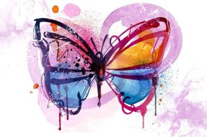 Картинки бабочки яркие