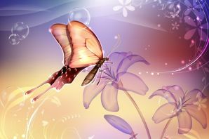 Бабочки картинки красивые яркие