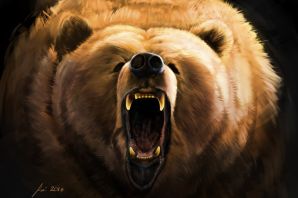 Медведь в ярости картинки