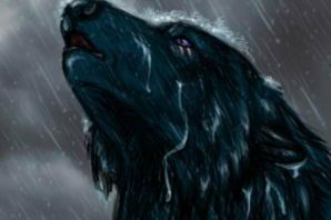 Картинки плачущий волк